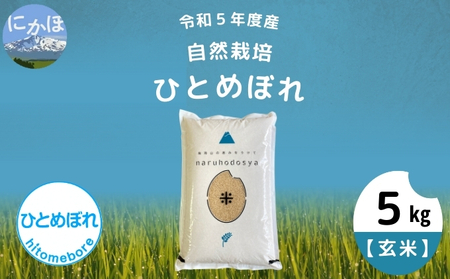 令和5年産 自然栽培[玄米]ひとめぼれ5kg×1