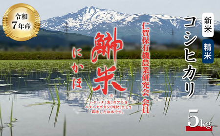 ߘa7NY V 11甭 ʍ͔| ޕ RVqJ ɂ  5kg