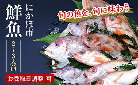 開けたらすぐ食べられる日本海の鮮魚詰合せ(2〜3人前)(魚介 下処理済み 詰め合わせ セット)