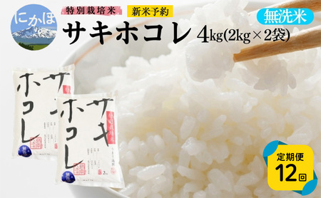 新米予約 《定期便12ヵ月》【無洗米】特別栽培米サキホコレ4kg×12回 合計48kg 令和7年産 秋田県 にかほ市 お米 米 こめ
