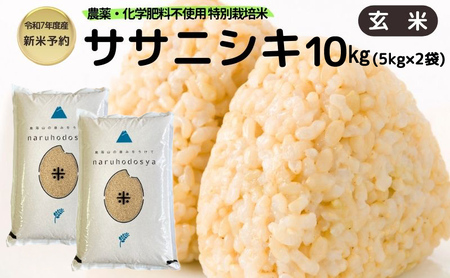 新米予約 栽培期間中 農薬・化学肥料不使用[玄米]特別栽培米ササニシキ10kg (5kg×2) 令和7年産 秋田県 にかほ市 お米 米 こめ