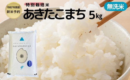 新米予約[無洗米]特別栽培米あきたこまち5kg×1 令和7年産 秋田県 にかほ市 お米 米 こめ