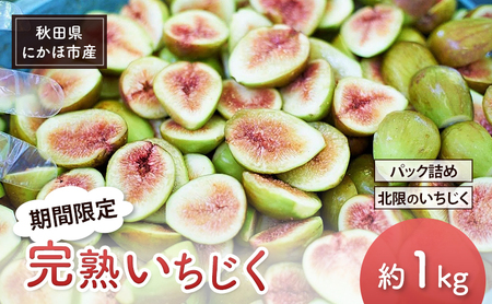 期間限定 秋田県 にかほ市産 完熟いちじく 約1kg (16〜18粒前後) パック詰め 北限のいちじく [ 果物 くだもの いちじく イチジク 無花果 フルーツ ]