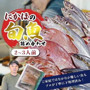 鮮魚 冷蔵 クール便「 開けたらすぐ食べられる下処理済み 海産物 2〜3人前 セット 」佐藤鮮魚店[ パック 詰め合わせ 海鮮セット 鮮魚ボックス 海鮮 海の幸 魚介 魚介類 刺身 切り身 秋田県 にかほ ]