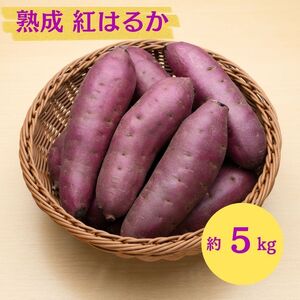 �ɂ��َs �ۊ��� ��{���Y�u ���܂��� 2���� �n�� �g�͂邩 5kg �v�y �Y�n���� ���Y �� ������ ��� �Ă��� �C�� ��� �����n�� �H�c�� �ɂ��فz