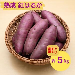 �ɂ��َs �ۊ��� ��{���Y�u ���܂��� 2���� �n�� �g�͂邩 �s���� 5kg �v�y �Y�n���� ���Y �� ������ ��� �Ă��� �C�� ��� �s���� �����n�� �H�c�� �ɂ��فz