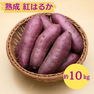 �ɂ��َs �ۊ��� ��{���Y�u ���܂��� 2���� �n�� �g�͂邩 10kg �v�y �Y�n���� ���Y �� ������ ��� �Ă��� �C�� ��� �����n�� �H�c�� �ɂ��فz