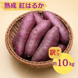 �ɂ��َs �ۊ��� ��{���Y�u ���܂��� 2���� �n�� �g�͂邩 �s���� 10kg �v�y �Y�n���� ���Y �� ������ ��� �Ă��� �C�� ��� �s���� �����n�� �H�c�� �ɂ��فz