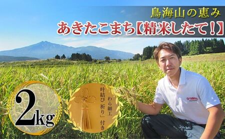 秋田県産 あきたこまち 「 あきたこまち ひの米 2kg 精米 」&「叶結び 祈り」[ ご飯 白米 主食 ライス 釜ヶ台 国産 おにぎり お弁当 縁起物 装飾 工芸品 民芸品 手作り わら細工 インテリア ]