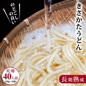 ǂ ԂHׂAz̗ǂ ۊǂ 220g×20 Zbg i40lOj   H Ԃ qǂ n nO ۑ ۑH H ~H ЊQ h ~ [