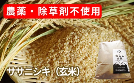 農薬・除草剤不使用で栽培したササニシキ「郷山のお米 2kg」(玄米)