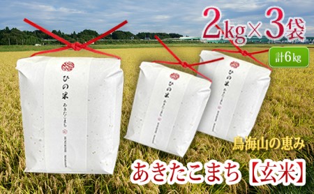 秋田県産 あきたこまち 玄米 6kg（2kg×3袋）神宿る里の米「ひの米」（お米 小分け）
