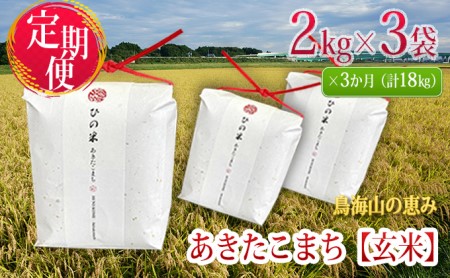 《定期便》6kg×3ヶ月 秋田県産 あきたこまち 玄米 2kg×3袋 神宿る里の米「ひの米」（お米 小分け）