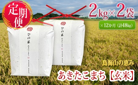 新米 米 お米 [定期便]4kg×12ヶ月 秋田県産 あきたこまち 玄米 2kg×2袋 神宿る里の米「ひの米」(お米 小分け 1年)