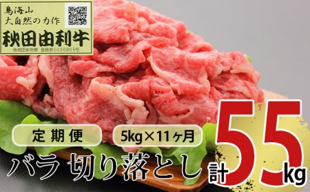 sցt11A HcR o؂藎Ƃ 5kgi1kg×5pbNj