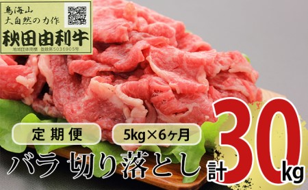 sցt6A HcR o؂藎Ƃ 5kgi1kg×5pbNj