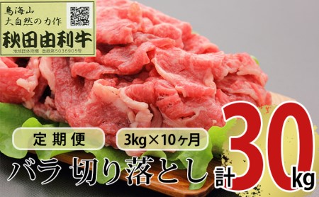 sցt10A HcR o؂藎Ƃ 3kgi1kg×3pbNj