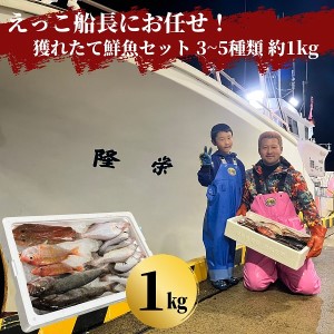 えっこ船長にお任せ!獲れたて鮮魚セット 3〜5種類 約1kg(鮮魚 詰合せ ボックス)