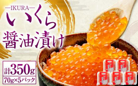 kCY ݖЂ 70g×5pbN v350g  CN Ђ Ⓚ kC Ms [455]