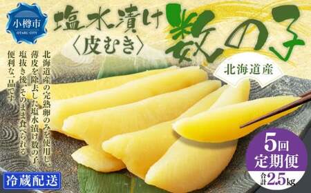 y5ցzkCY ނ Ђ ̎q 500g v2.5kg ̂ 1{ ܂  