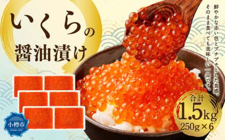 いくらの醤油漬け 1.5kg(250g×6) いくら イクラ 醤油漬け 冷凍 北海道 小樽市