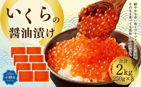 ̏ݖЂ 2kgi250g×8j  CN ݖЂ Ⓚ kC Ms