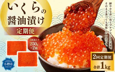 [2回定期便]いくらの醤油漬け 500g(250g×2) いくら イクラ 醤油漬け 冷凍 北海道 小樽市
