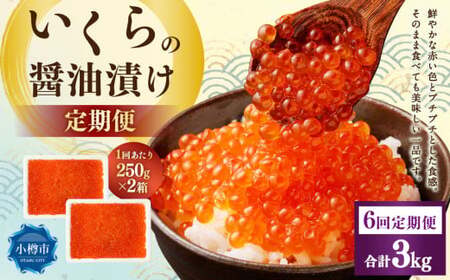 y6ցz̏ݖЂ 500gi250g×2j  CN ݖЂ Ⓚ kC Ms