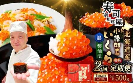 y2ցz kCH ݖ 250gi1pbNj×2 v500g ݖЂ  CN ݖ ݖЂ Ⓚ