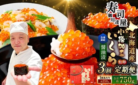 y3ցz kCH ݖ 250gi1pbNj×3 v750g ݖЂ  CN ݖ ݖЂ Ⓚ