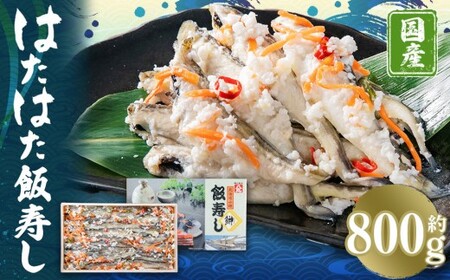 はたはた 飯寿し 約800g(化粧箱入り) ギフト 贈答用