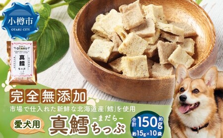 ^L 150g 15g×10 ybg     񂿂     ^L L   a `bv ^ ~jTCY  W[L[ wV[ kC Ms 퉷