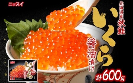 jbXC kCHݖЂ 600g i100g × 6j  CN ݖЂ    kCY Y kC Ms Ⓚ