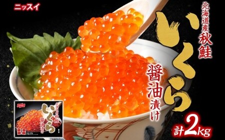 jbXC kCHݖЂ 2kg i100g × 20j CN ݖЂ    kCY Y kC Ms Ⓚ