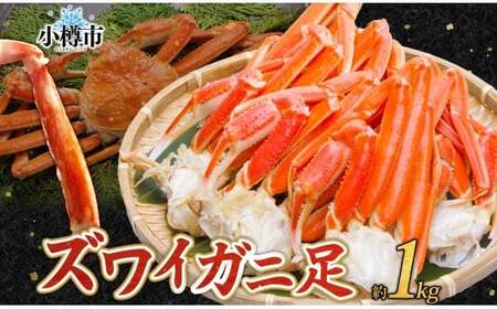 YCKj Ir {C 1kg yotaru004z Jj  I Jjr Ir Jj_ CN C̍K Mtg 