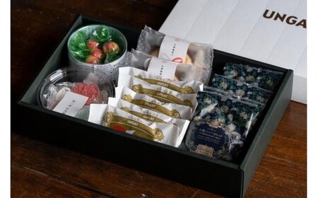 【小樽美味撰B】小樽百貨UNGA↑が贈る「和三盆と焼菓子よくばりセット」