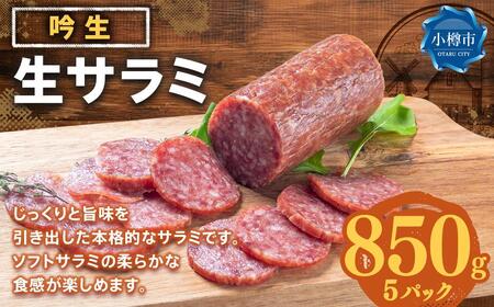 吟生 生サラミ 170g×5パック (850g)