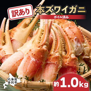 訳あり ズワイガニ 爪 1kg 冷凍 ボイル ずわいがに ずわい蟹 カニ かに 蟹 しゃぶしゃぶ カニしゃぶ サイズ違い 不揃い 規格外