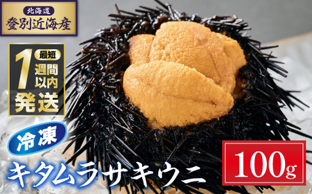 登別近海産冷凍キタムラサキウニ(パック詰)100g(100g×1)