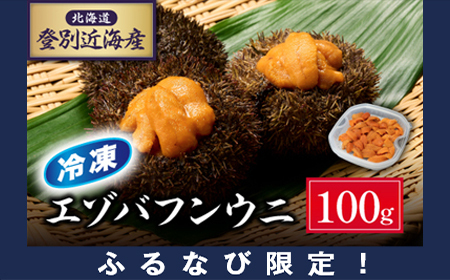 [ふるなび限定]北海道登別近海産エゾバフンウニ(冷凍パック)100g [ウニ ウニ うに 雲丹 エゾバフンウニ エゾバフンウニ バフンウニ バフンウニ 冷凍 冷凍うに 冷凍ウニ 冷凍ウニ]FN-Limited