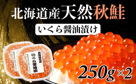 kCYVRH@ݖЂ 500gi250g×2j@NNn Ε  2025