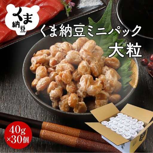 北海道くま納豆ミニカップ 大粒 30個 《順次発送》 国産 なっとう ナットウ 高級 大豆 厳選 老舗 栄養 発酵 ふるさと納税 北海道 登別市