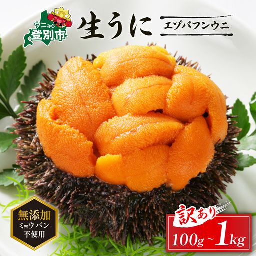 [ミョウバン不使用]訳あり 無添加エゾバフンウニ 塩水パック 100g[mh-0906_B]