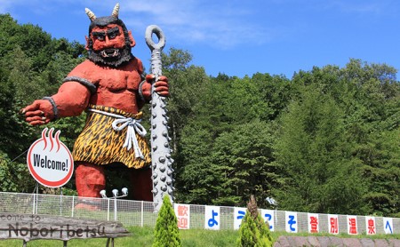 ガソリン 検索結果  ふるさと納税サイト「ふるなび」
