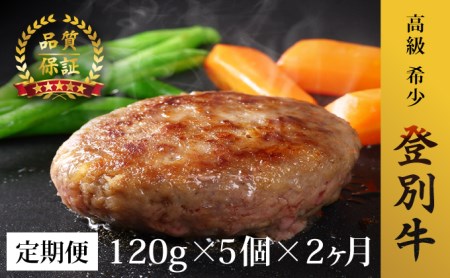肉のあさひ 登別牛100%使用ハンバーグ 120g×5個[全2回お届け]