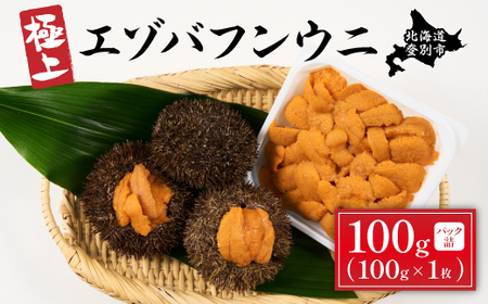 極上 エゾバフンウニ 100g(パック詰) ≪配送期間B≫2024年10月下旬〜11月下旬迄[ウニ ウニ うに 雲丹 エゾバフンウニ エゾバフンウニ バフンウニ バフンウニ 塩水 塩水パック パック詰 パック 折詰 無添加]