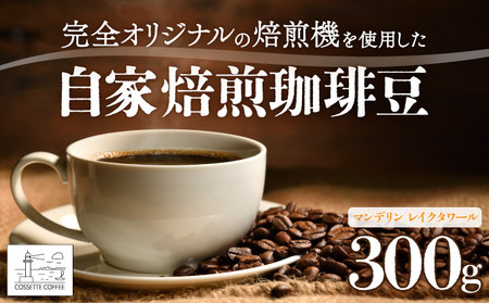 自家焙煎 コーヒー豆 マンデリン レイクタワール 100g×3個セット 300g