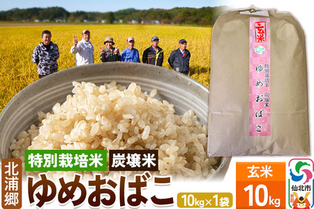 Amazon.co.jp: ミツハシ 玄米千葉県産コシヒカリ2㎏ 令和6年産