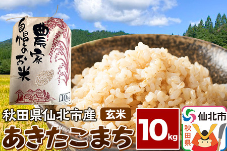 yāzߘa7NY ܂ 10kg    Hc ksY