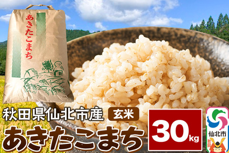 yāzߘa7NY ܂ 30kg    Hc ksY